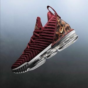 Lebron 16 King